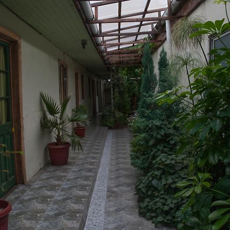Hostel 1760 ตัลกา ภายนอก รูปภาพ
